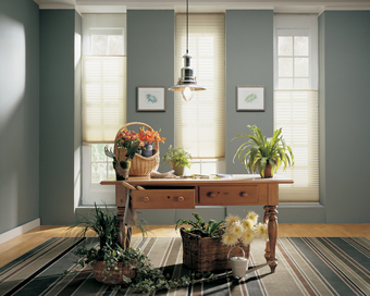 full length window shades thin windows