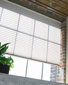basement apartment shades