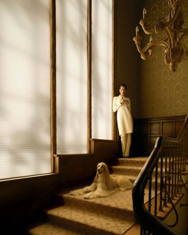 duette cordlock full length window shades stairwell entrance