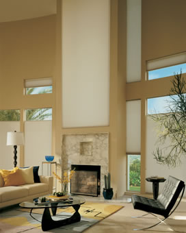 odd shaped windows fireplace humble tx